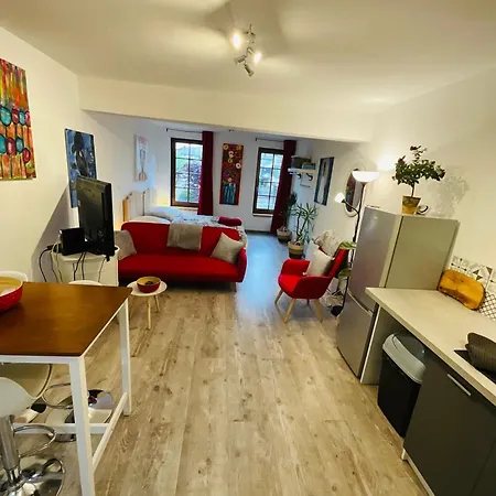 Labyrinthe Sur La Place D, Hotes , Calme ,netflix Appartamento Mirepoix (Ariege)