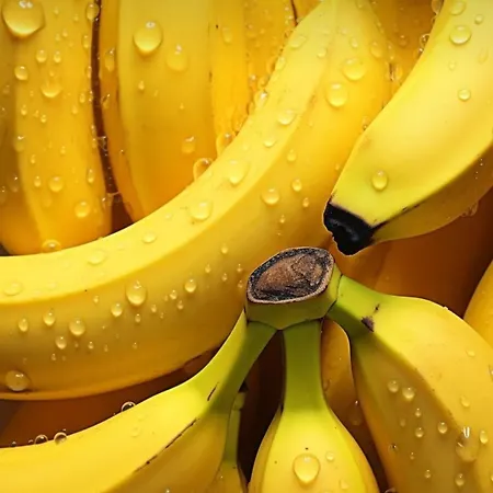 Labyrinthe Sur La Place D, Hotes , Calme ,netflix *