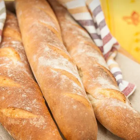 Labyrinthe Sur La Place D, Hotes , Calme ,netflix Mirepoix (Ariege)