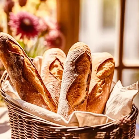 Labyrinthe Sur La Place D, Hotes , Calme ,netflix Mirepoix (Ariege)