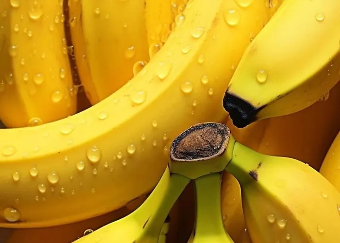 Hôte Labyrinthe Sur La Place D, Hôtes , Calme ,netflix *