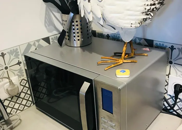 Daire Labyrinthe Sur La Place D, Hotes , Calme ,netflix Mirepoix (Ariege)